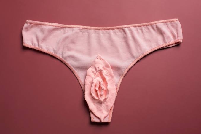 Ninfoplastia antes e depois como fica e qual tempo para resultado